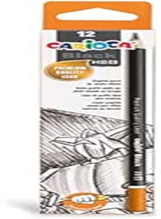 CARIOCA GRAPHITE PENCILS 2B - 12 PCS 42931